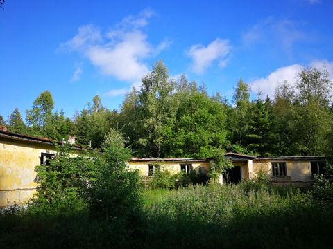 Foto 236